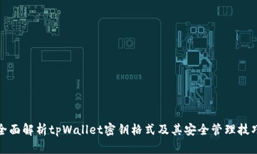 全面解析tpWallet密钥格式及其安全管理技巧