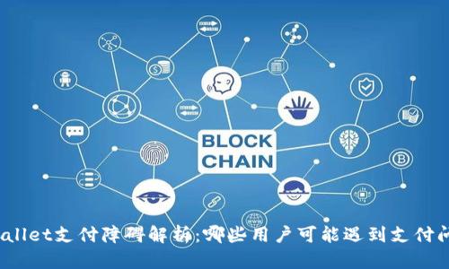 tpWallet支付障碍解析：哪些用户可能遇到支付问题？