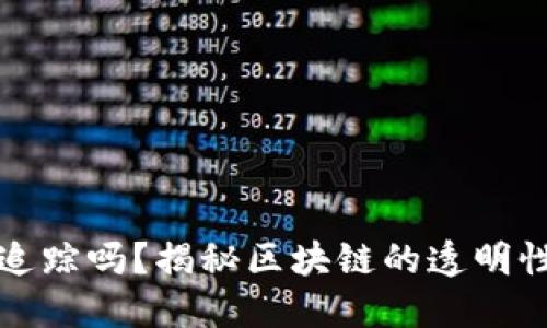 虚拟币能追踪吗？揭秘区块链的透明性与隐私性