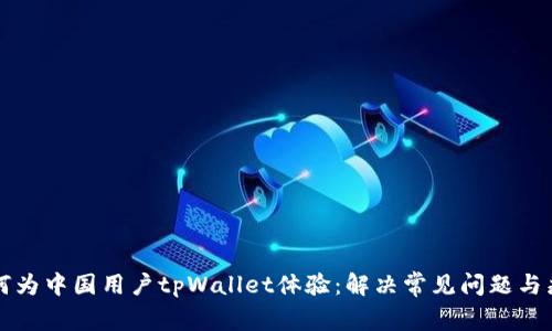 如何为中国用户tpWallet体验：解决常见问题与痛点