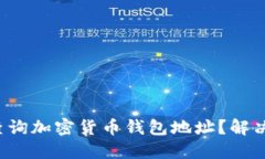 如何快速查询加密货币钱