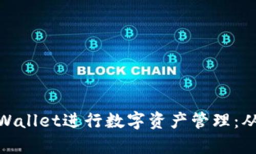 如何使用tpWallet进行数字资产管理：从入门到精通
