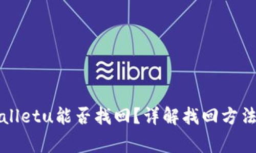 丢失的tpWalletu能否找回？详解找回方法与注意事项