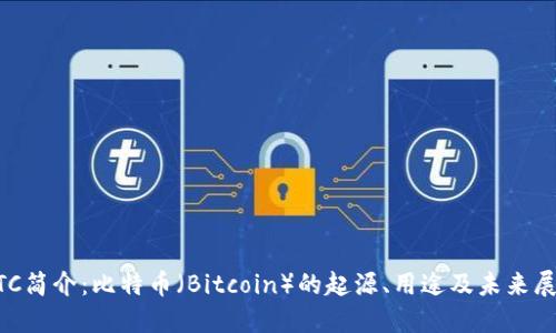 BTC简介：比特币（Bitcoin）的起源、用途及未来展望
