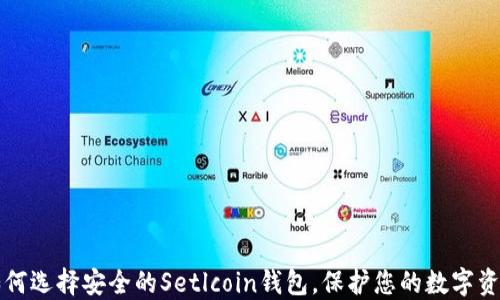 
如何选择安全的Setlcoin钱包，保护您的数字资产