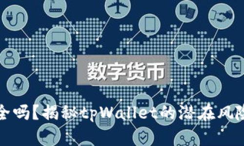 tpWallet安全吗？揭秘tpWallet的潜在风险与用户体验