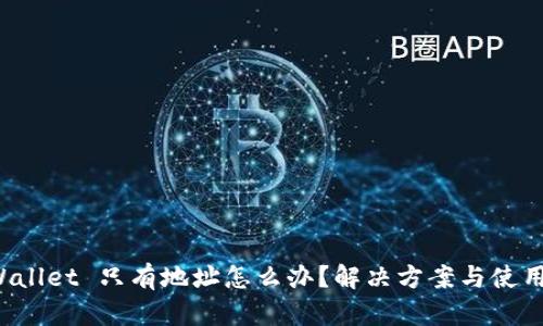 TP Wallet 只有地址怎么办？解决方案与使用技巧