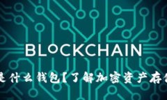 交易所存币是什么钱包？