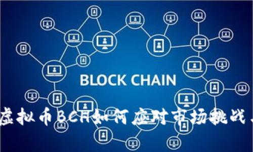 深入解析：虚拟币BCH如何应对市场挑战与用户需求