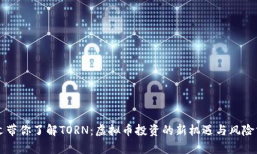 一文带你了解TORN：虚拟币投资的新机遇与风险分析