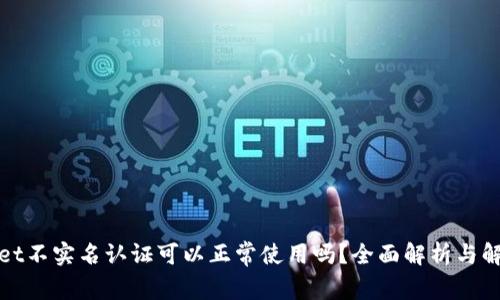 tpWallet不实名认证可以正常使用吗？全面解析与解决方案