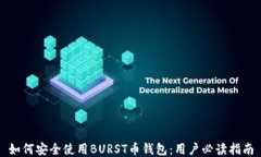 如何安全使用BURST币钱包：