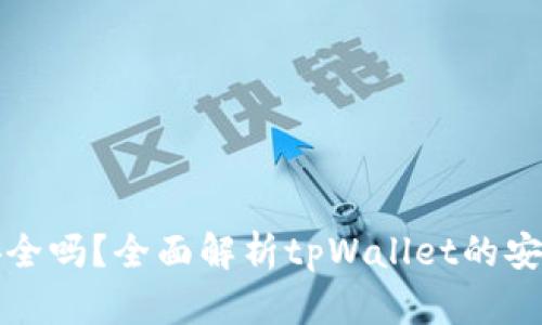 tpWallet安全吗？全面解析tpWallet的安全性与风险