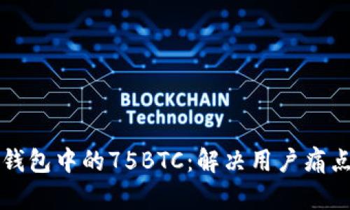 如何找回脑钱包中的75BTC：解决用户痛点的详细指南