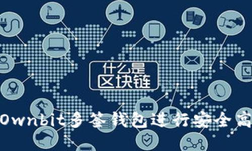 如何使用Ownbit多签钱包进行安全高效的转账