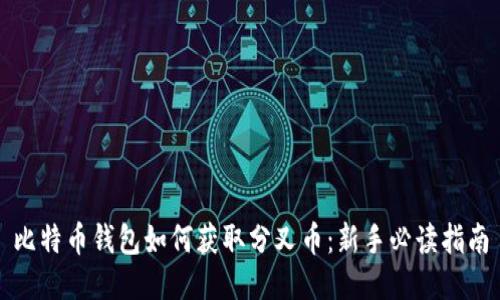 比特币钱包如何获取分叉币：新手必读指南