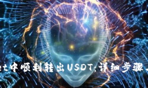 如何在tpWallet中顺利转出USDT：详细步骤与常见问题解决