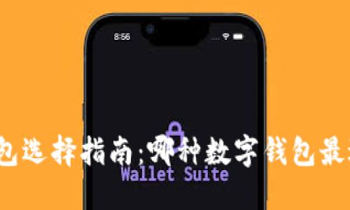 数字钱包选择指南：哪种数字钱包最适合你？