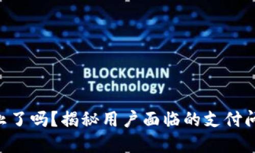 TOPAY服务终止了吗？揭秘用户面临的支付问题与解决方案