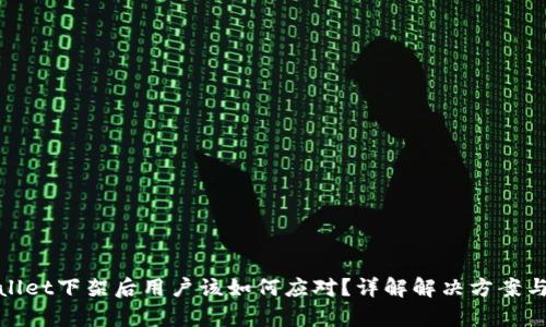 tpWallet下架后用户该如何应对？详解解决方案与建议