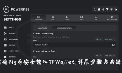 如何将Pig币安全转入TPWallet：详尽步骤与关键要点