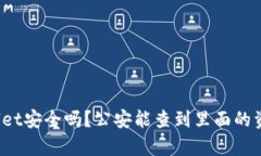 tpWallet安全吗？公安能查到
