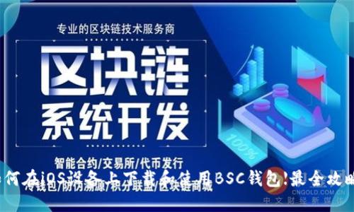 如何在iOS设备上下载和使用BSC钱包【最全攻略】