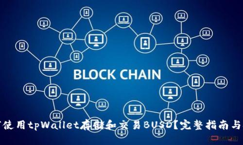 如何使用tpWallet存储和交易BUSD？完整指南与技巧