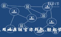 完整指南：如何使用比原