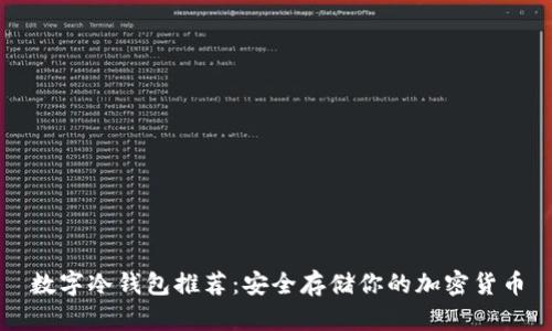 数字冷钱包推荐：安全存储你的加密货币