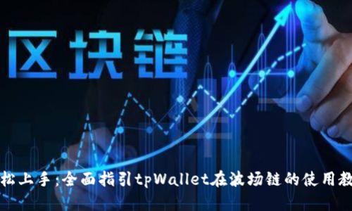轻松上手：全面指引tpWallet在波场链的使用教程