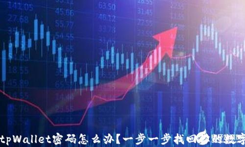 
忘记tpWallet密码怎么办？一步一步找回你的数字资产