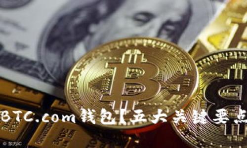 如何选择最安全的BTC.com钱包？五大关键要点助你做出明智决策