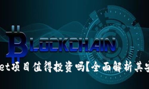 ## tpWallet项目值得投资吗？全面解析其安全性与前景