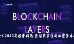 xiaoti2023年投资指南：最值