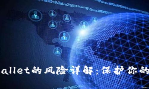 USDT放在tpWallet的风险详解：保护你的数字资产安全