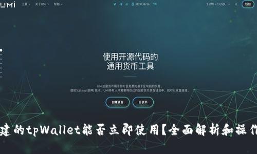 新创建的tpWallet能否立即使用？全面解析和操作指南