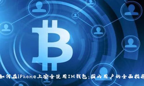 如何在iPhone上安全使用IM钱包：国内用户的全面指南