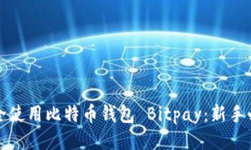 如何安全使用比特币钱包 Bitpay：新手必读指南