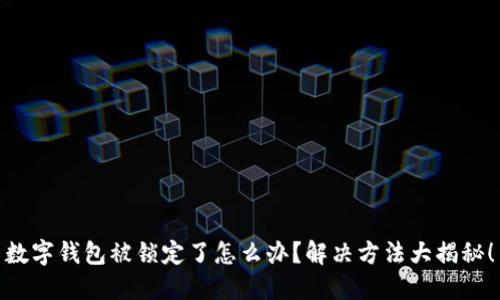 数字钱包被锁定了怎么办？解决方法大揭秘！