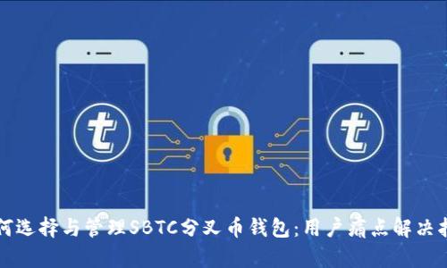 如何选择与管理SBTC分叉币钱包：用户痛点解决指南