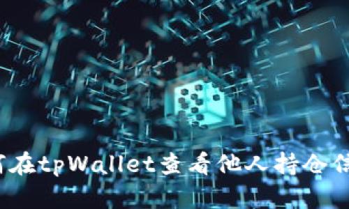 如何在tpWallet查看他人持仓信息？