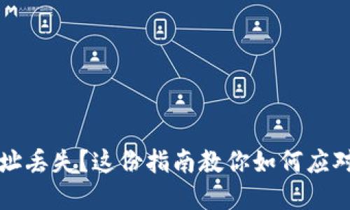 钱包地址丢失？这份指南教你如何应对和找回