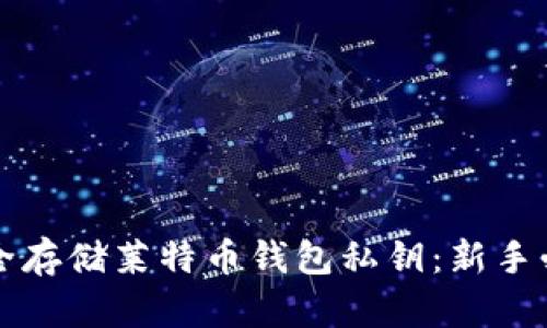 如何安全存储莱特币钱包私钥：新手必读指南