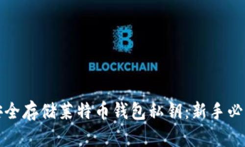 如何安全存储莱特币钱包私钥：新手必读指南