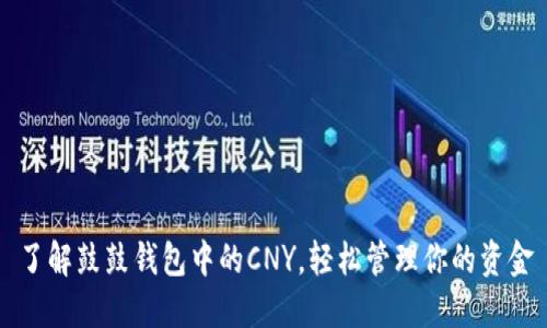 了解鼓鼓钱包中的CNY，轻松管理你的资金