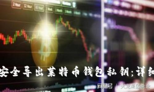 如何安全导出莱特币钱包私钥：详细指南
