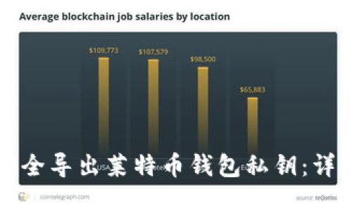 如何安全导出莱特币钱包私钥：详细指南
