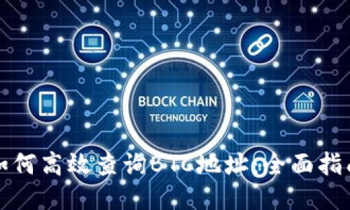 如何高效查询BTC地址：全面指南