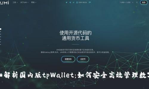 : 详细解析国内版tpWallet：如何安全高效管理数字资产